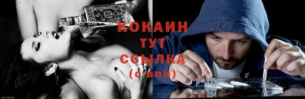 стафф Арсеньев