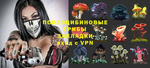 соль ск Армянск