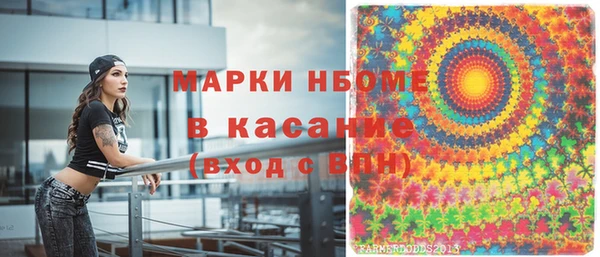 стафф Арсеньев