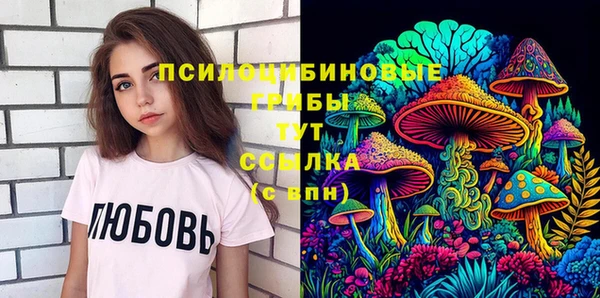 стафф Арсеньев