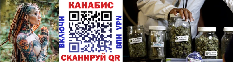 Конопля индика  где найти   Тайга 
